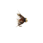 Caddis Pupa Brown