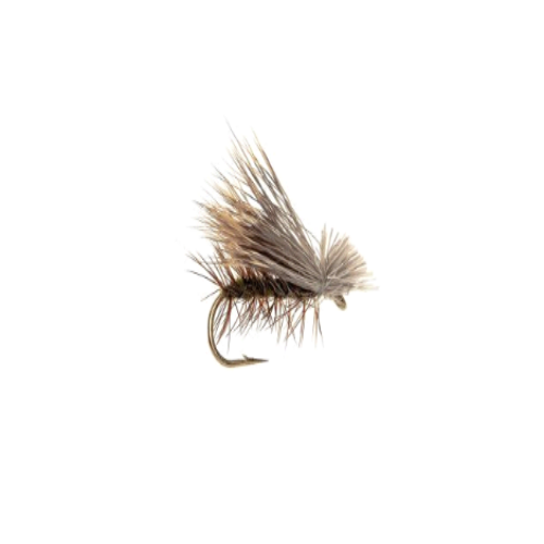 Elk hair caddis olive