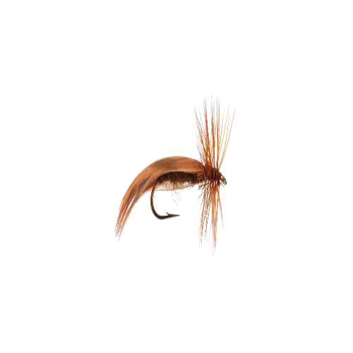 Europa brown