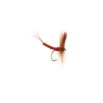 Extended body brown drake may fly