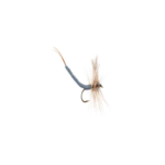 Extnded body Adams mayfly