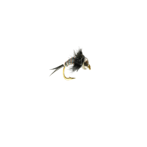 Gabriel’s Trumpet