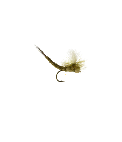 Green drake paradrake