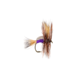 Humpy Purple