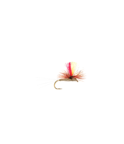 Indicator parachute Adams