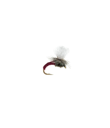 Klinkhammer Claret