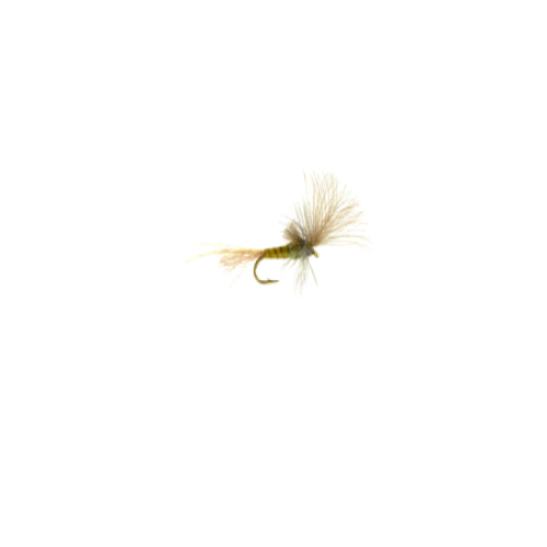 Klinkhammer PMD