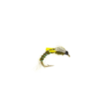 Midge pupae Olive