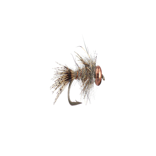 Minch’s Hare’s Copper
