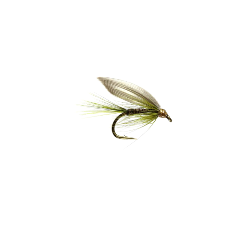 Olive Quill winged wet
