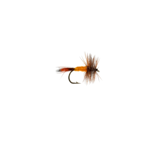 Orange snipe