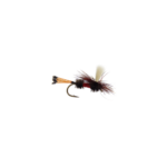 Royal Coachman Parachute