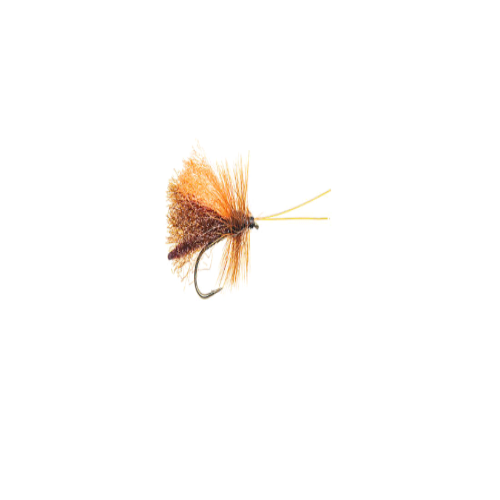 Slickwater caddis –Brown